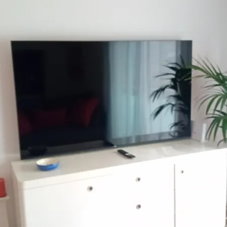 El Estudio De Mariposas,sofa Cama , Cocina Y Bano * Partida de La Cañada